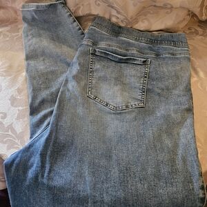 Torrid  Denim Jeans